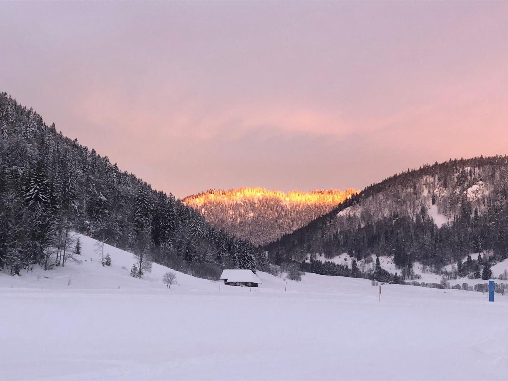 Forest Apartment-Mountain Escape Menzenschwand St. Blasien Exteriér fotografie